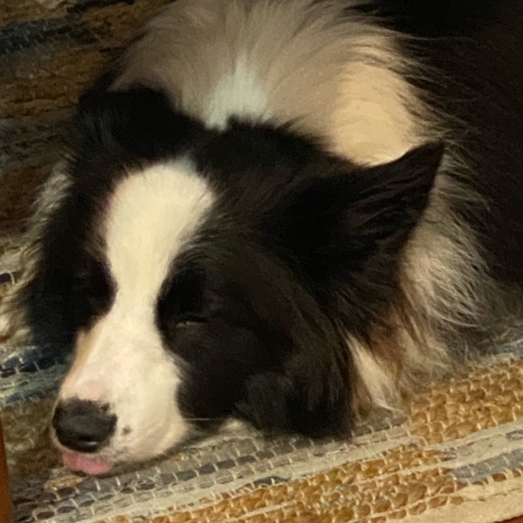 Meet your Posher, Michelle - Picture 2 of 2